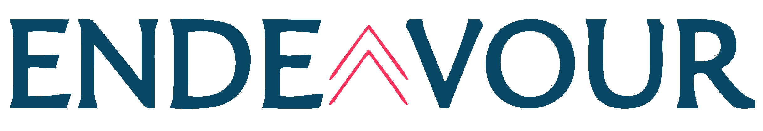 eNDEAVOUR CONSULTANCY SERVICES