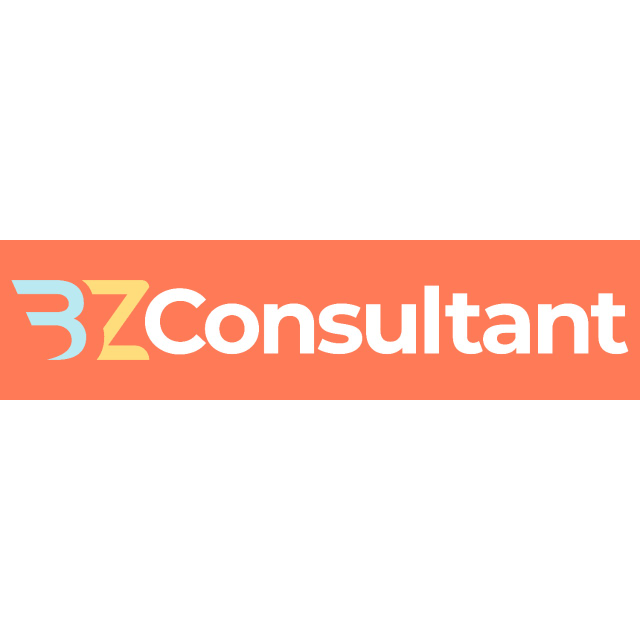 Bz consultant